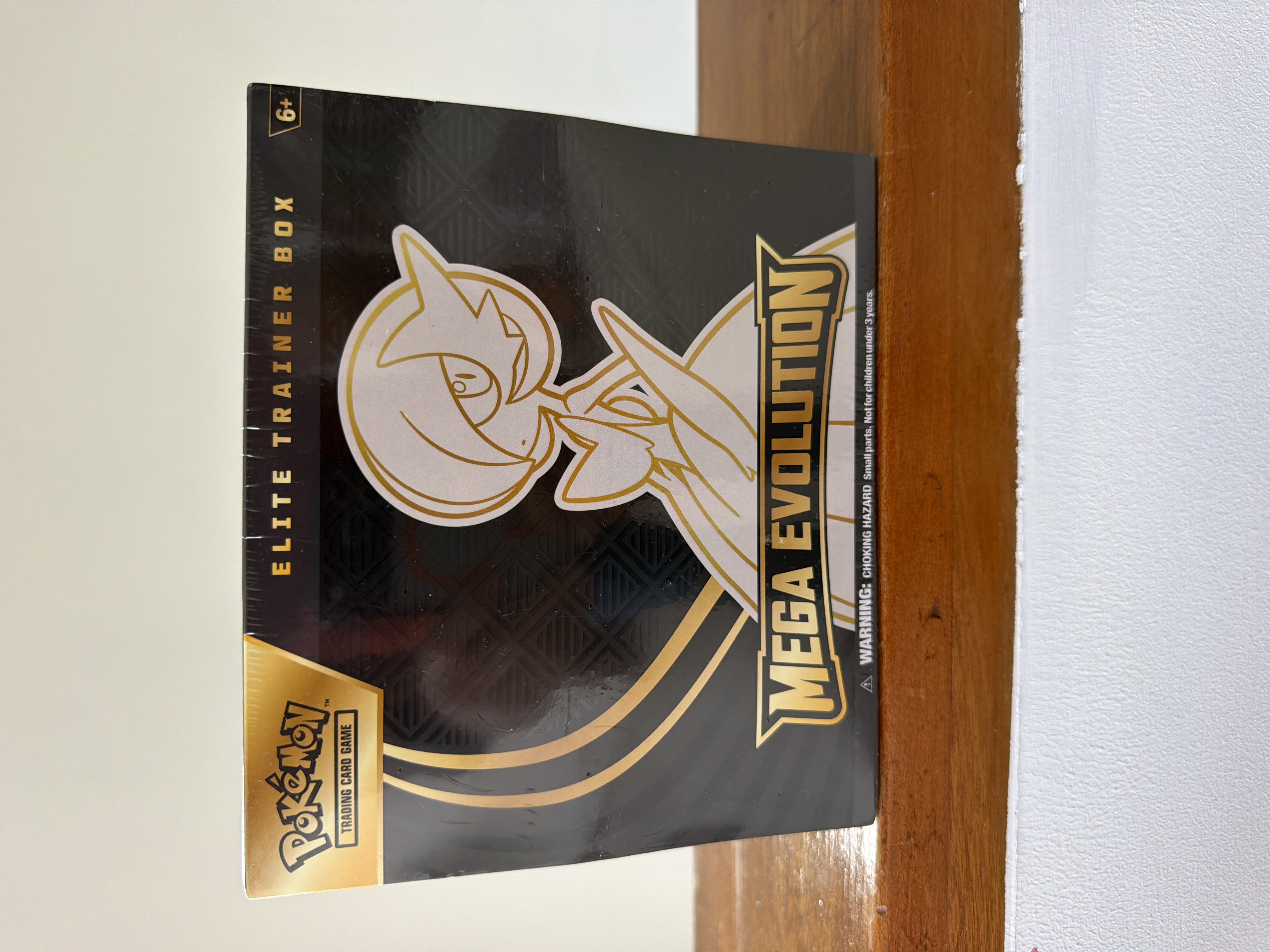 ETB Mega Evolution