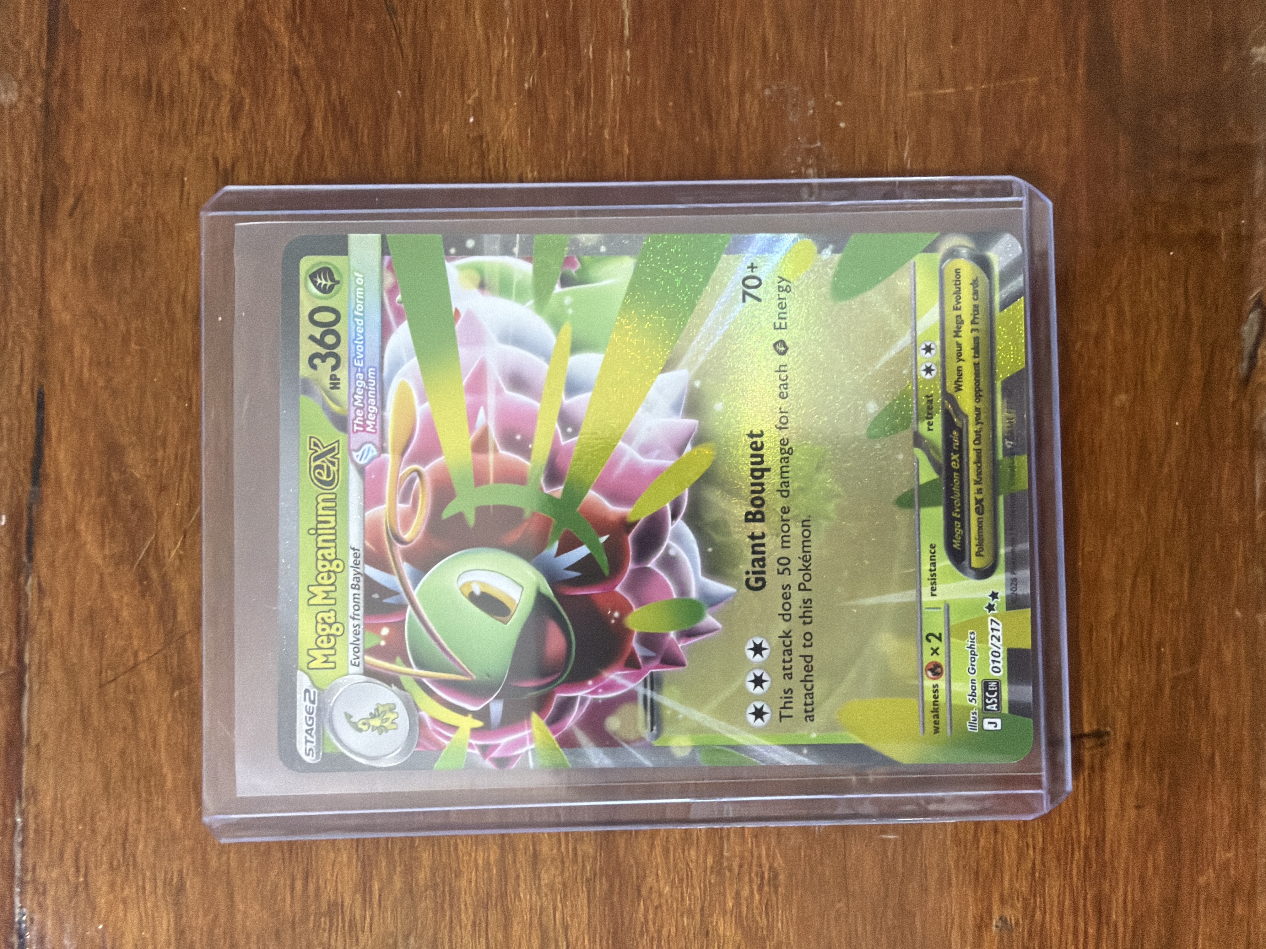 Mega Maganium Ex