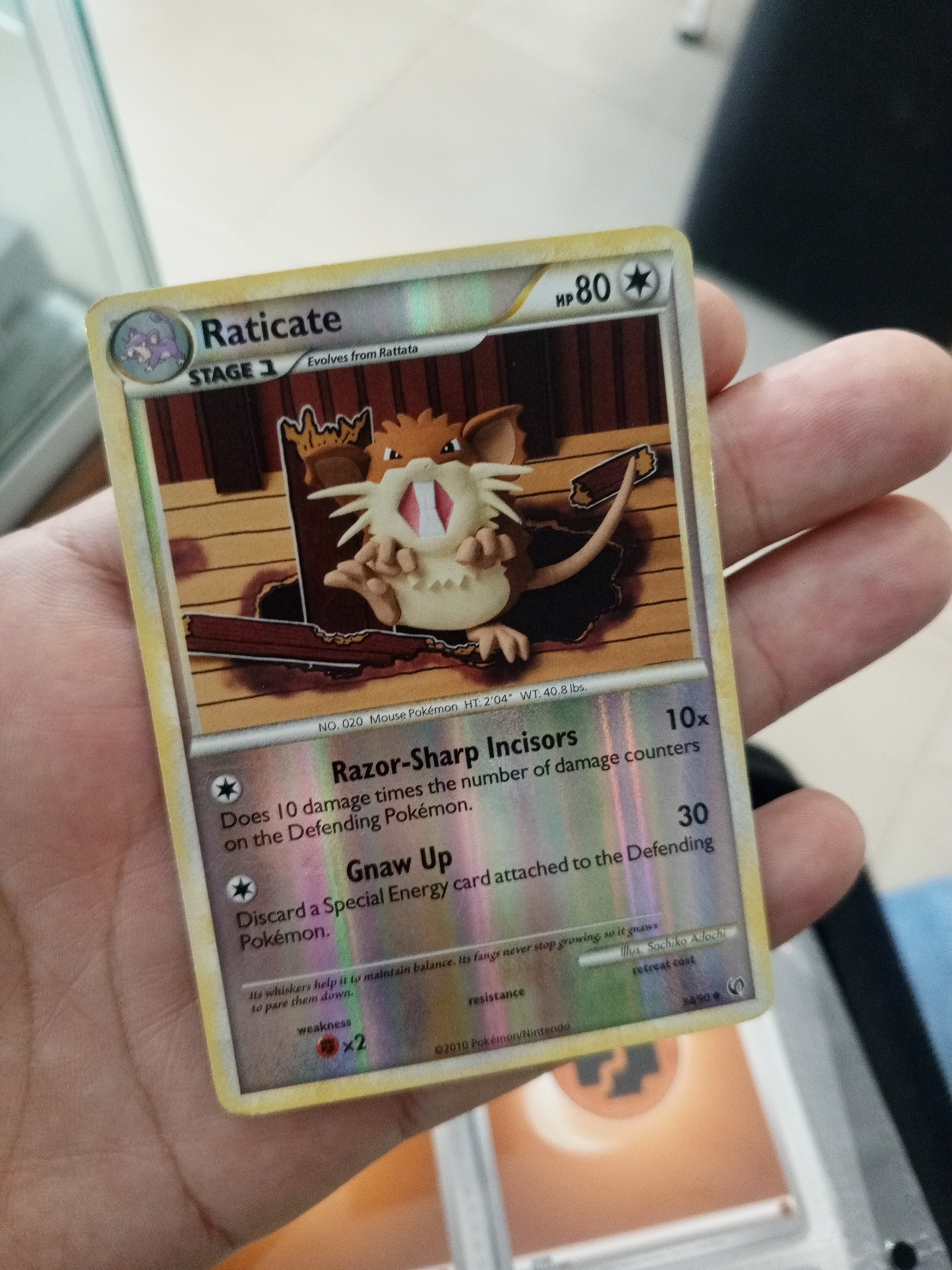 Raticate holo