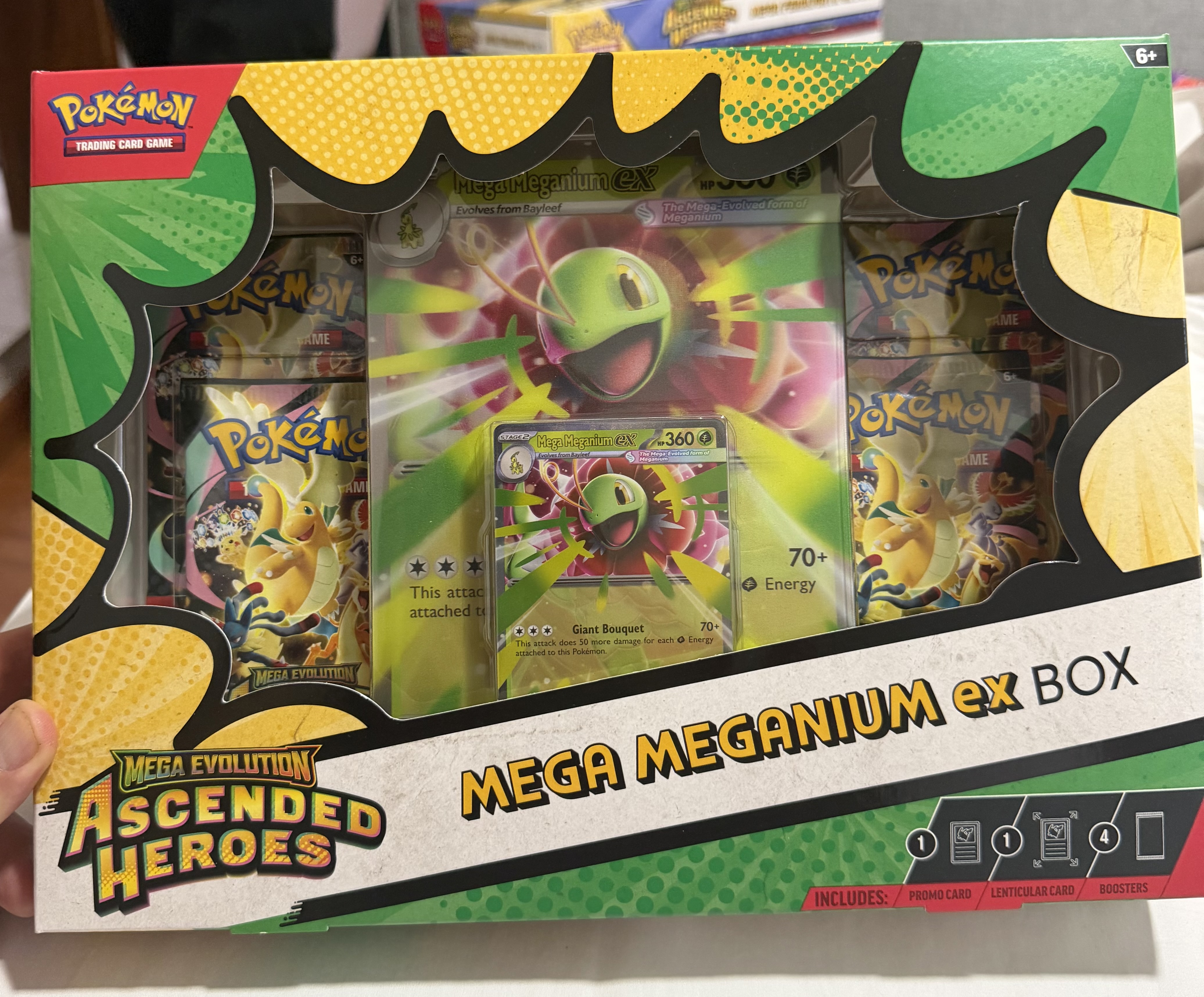 Mega Meganium Ex Box